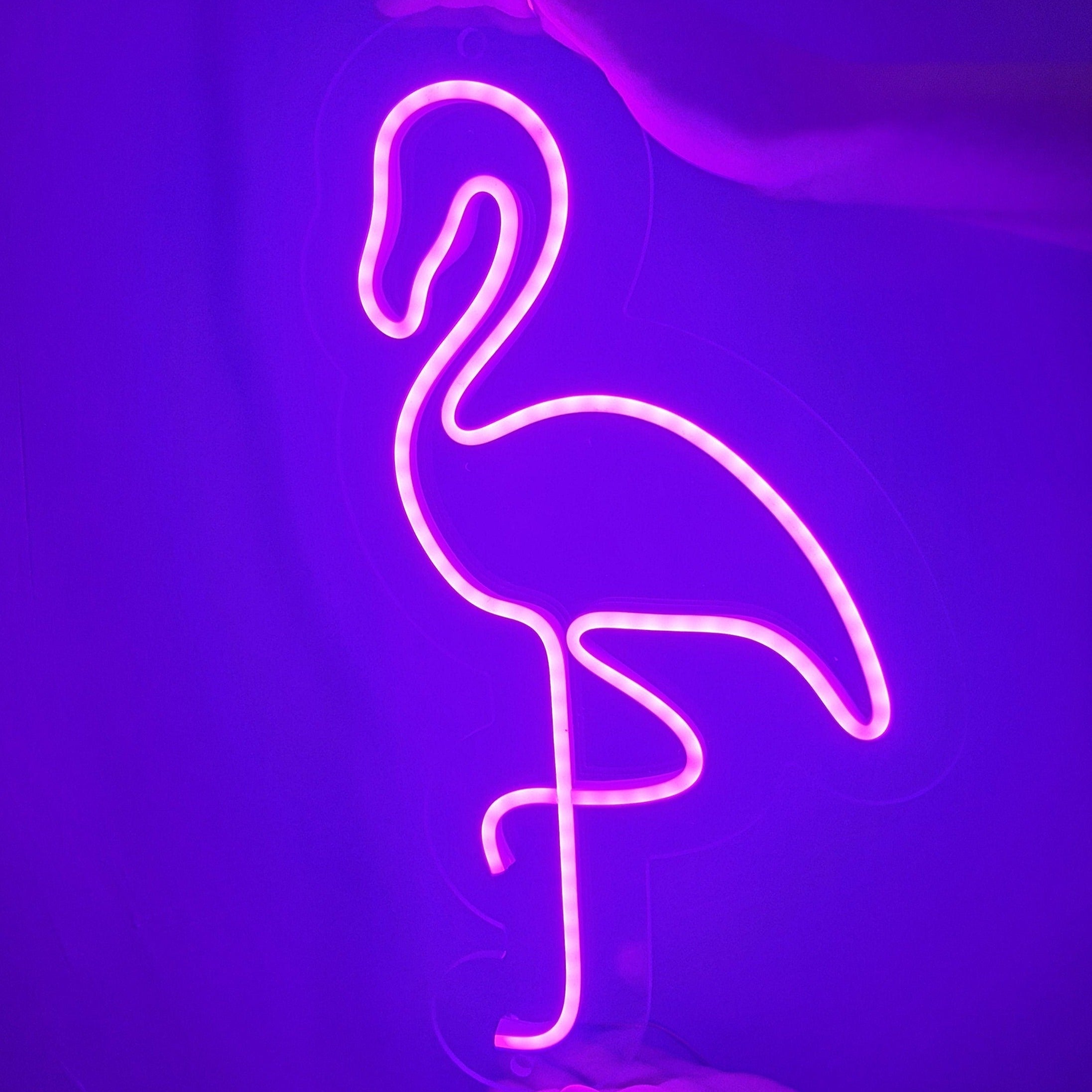 Pink flamingo neon sign